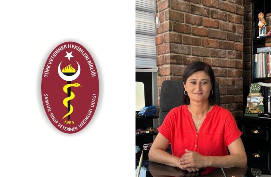 SAMSUN- SİNOP VETERİNER HEKİMLERİ ODA BAŞKANI KÖSE AVAN; “DARP EDLİYORUZ, ÖLDÜRÜLÜYORUZ!”