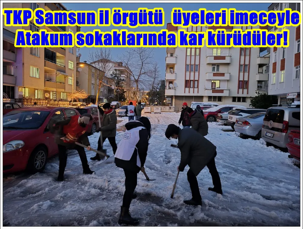 TKP Samsun İl örgütü Samsun’da kar kürümeye çıktı!